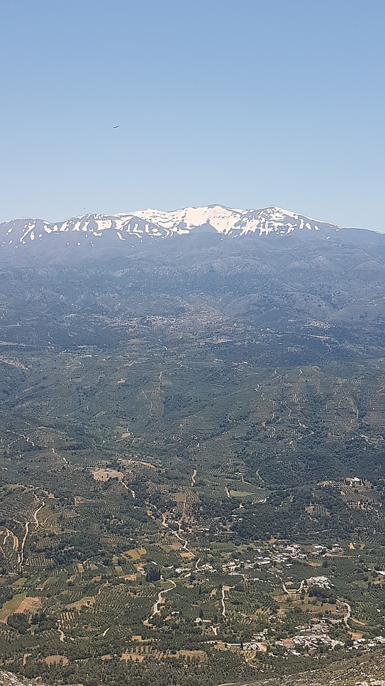 Panoramautsikt mot Mount Ida nordside. Legg merke til ørnen oppe til venstre
