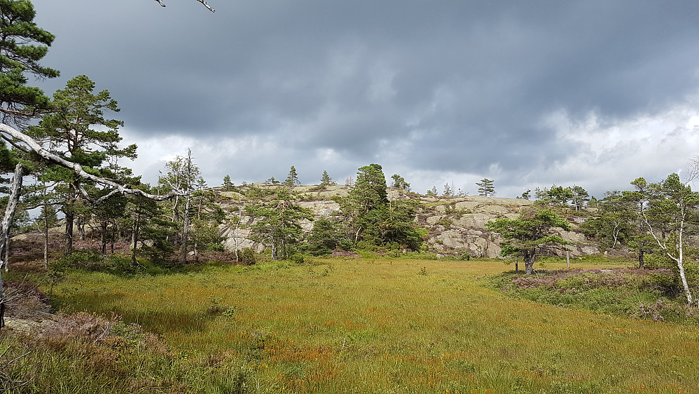 Høgsteinsheia