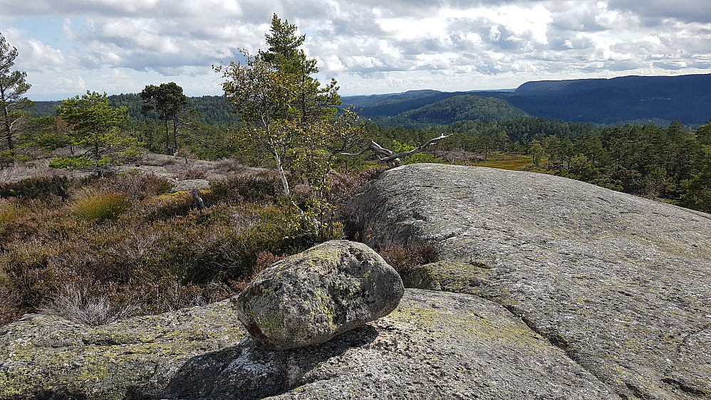 Høgsteinsheia