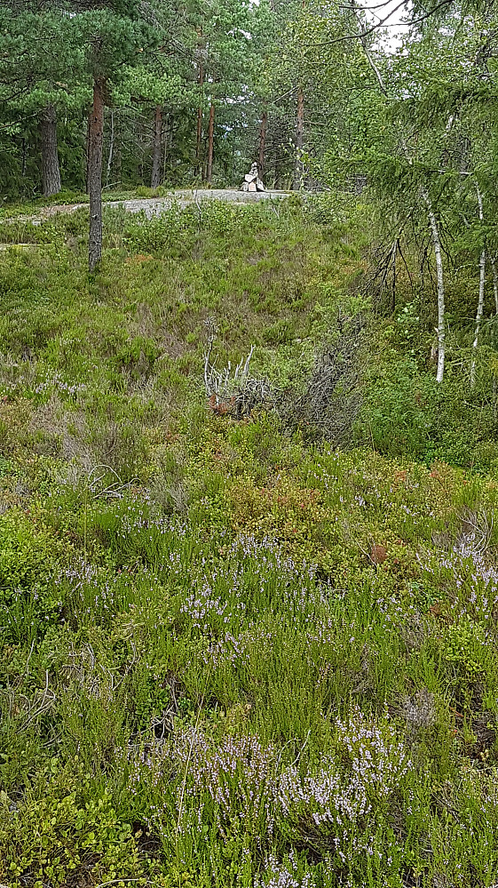 ..eller kanskje her..