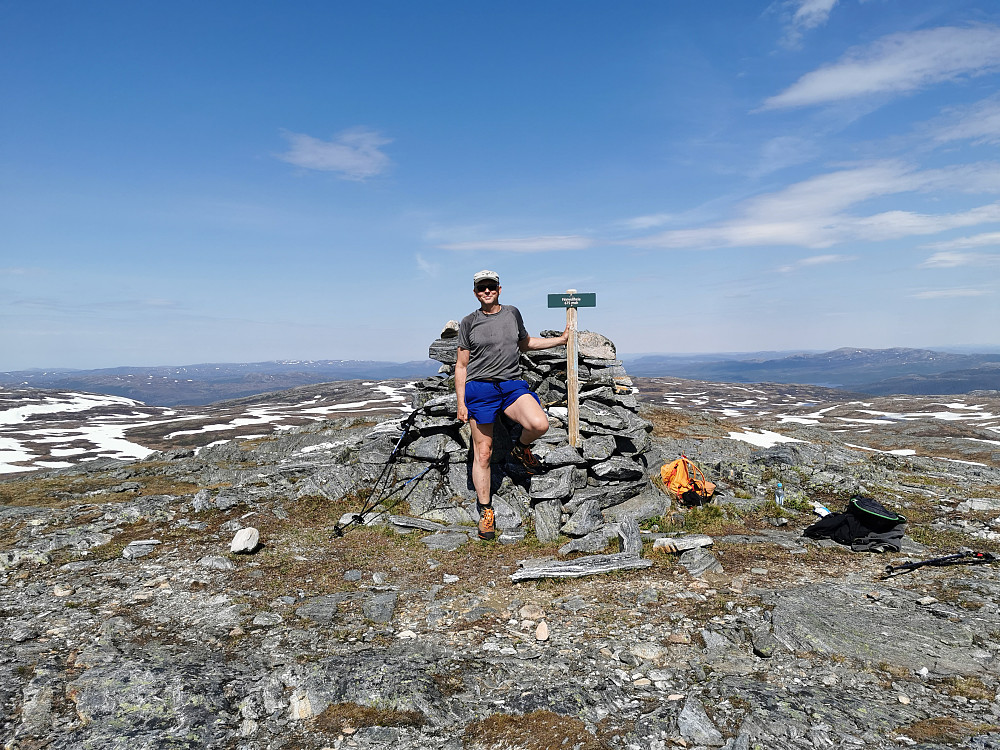 Høyest i Åfjord, Finnvollheia. 