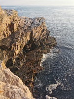Uncas_20200820_5f3edb7beb509.jpg