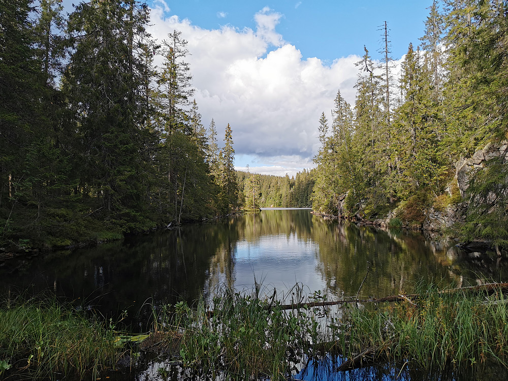 Idyllisk ved Nedre Tøletjernet
