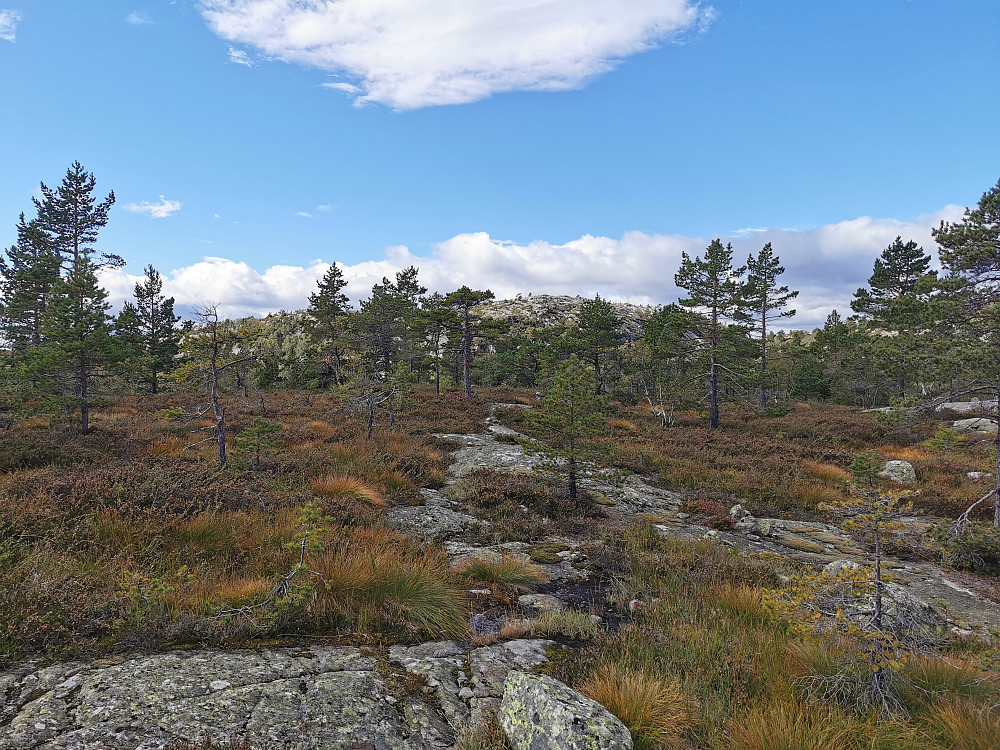 Blefjell i sikte