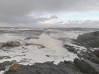 Uncas_20201122_5fba68e3daf6d.jpg