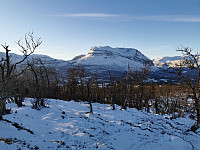 Uncas_20201127_5fc0fb0ad1635.jpg