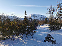 Uncas_20201127_5fc0fb0fbfb00.jpg