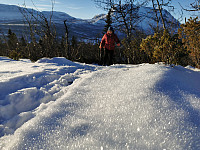 Uncas_20201127_5fc0fb1189221.jpg
