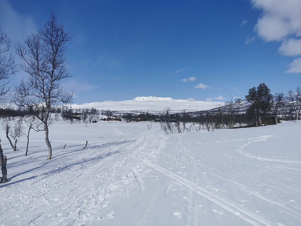 Dagens mål Svarthøtta synlig for første gang ca en km etter start