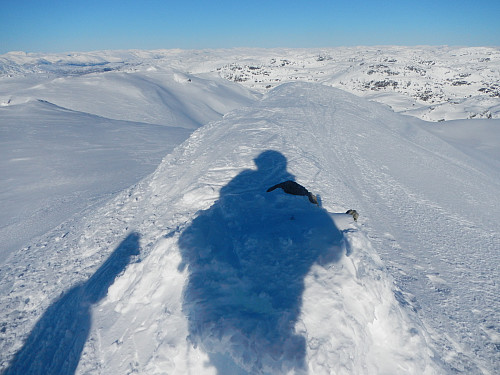 Fuglafjell, høyest i Kvam. Toppunktet fra vest med Vossafjell i synsranden i øst