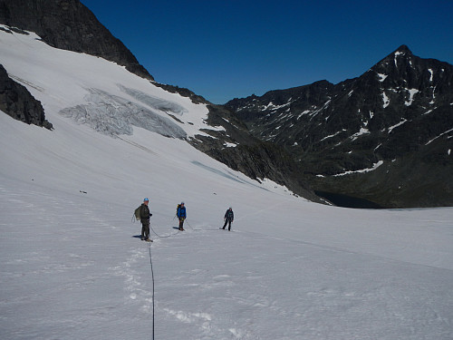Opp Kvitskardsbreen