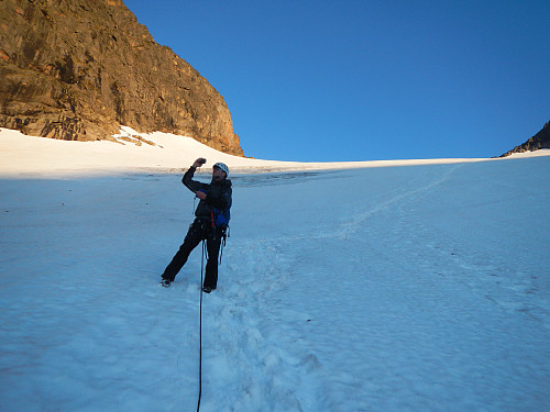 Ned Svartdalsbreen