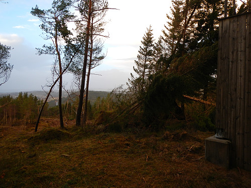 Ospåsen med utsikt mot nordre Askøy. Også her store skader av uværet 10.januar, inkl skade på mobilmast som står på toppen.