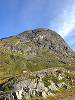 Synshorn sør