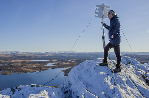 Svartfjelltoppen