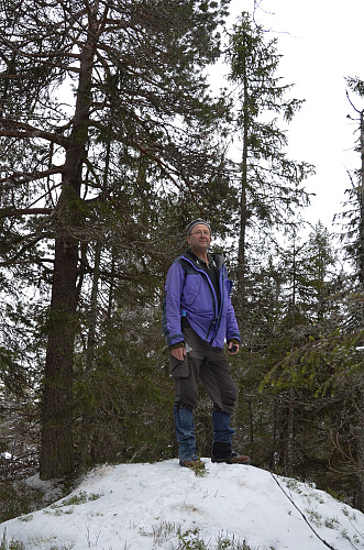 Toppunktet Skotjernfjellet (651)