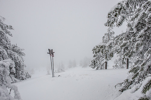 Ulvsjøfjellet 809m