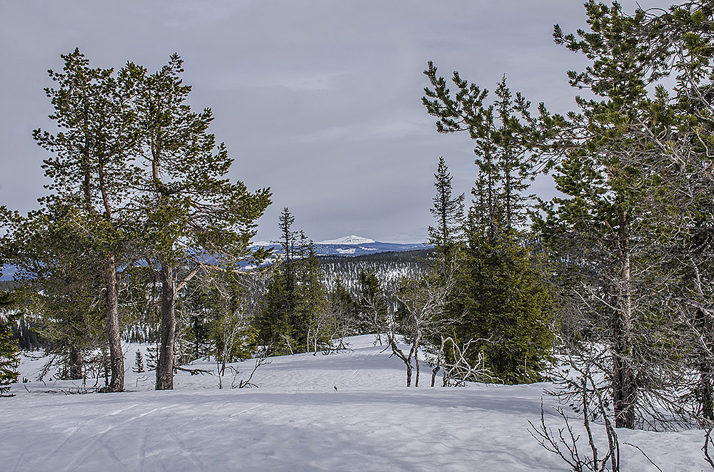 Bilde tatt fra toppen mot Trysilfjellet.