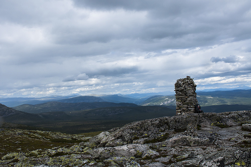 Gråvola
