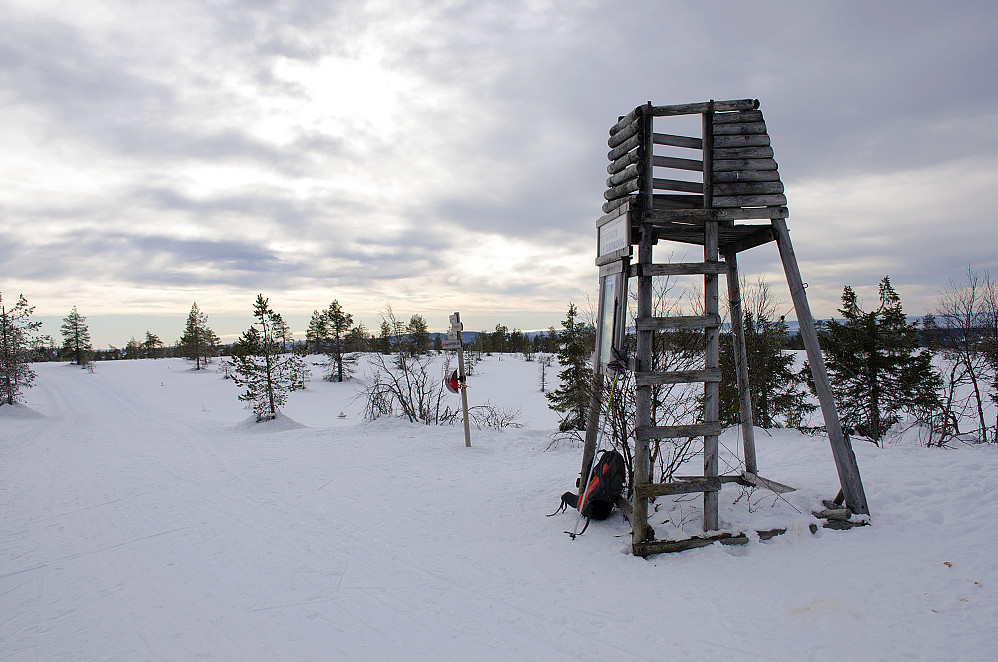 Skallberget 746 moh. Fin utsikt rundt hele.