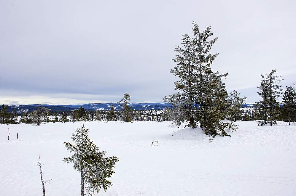 Trysilfjellet i bakgrunnen.