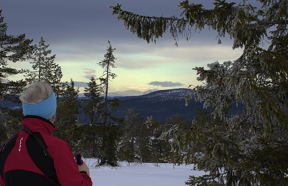 Utsikt mot Sølenfjellet.