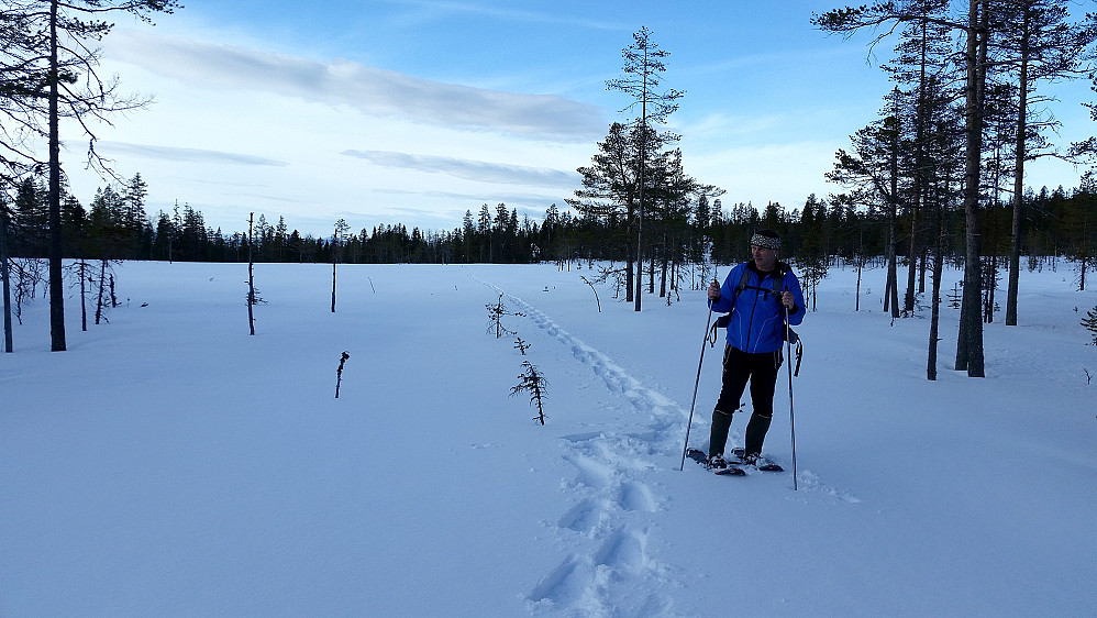 Stenmyra ved Kløfttjernet.