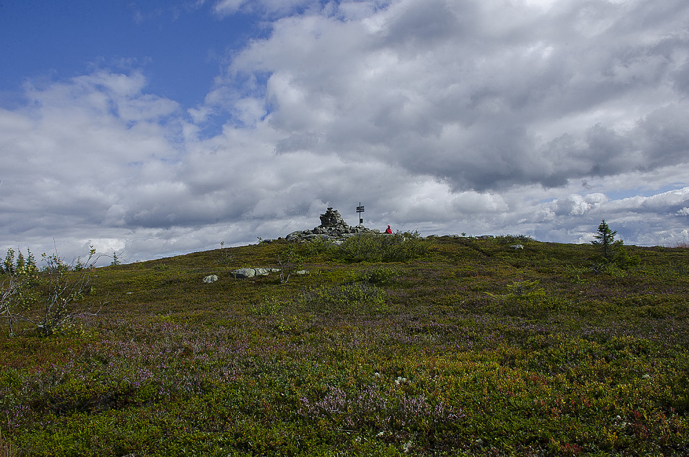 Evy på toppen.   Engulvsfjellet 856moh.