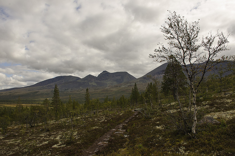 Her tok vi av stien til toppen.  Sølenfjellet i bakgrunnen