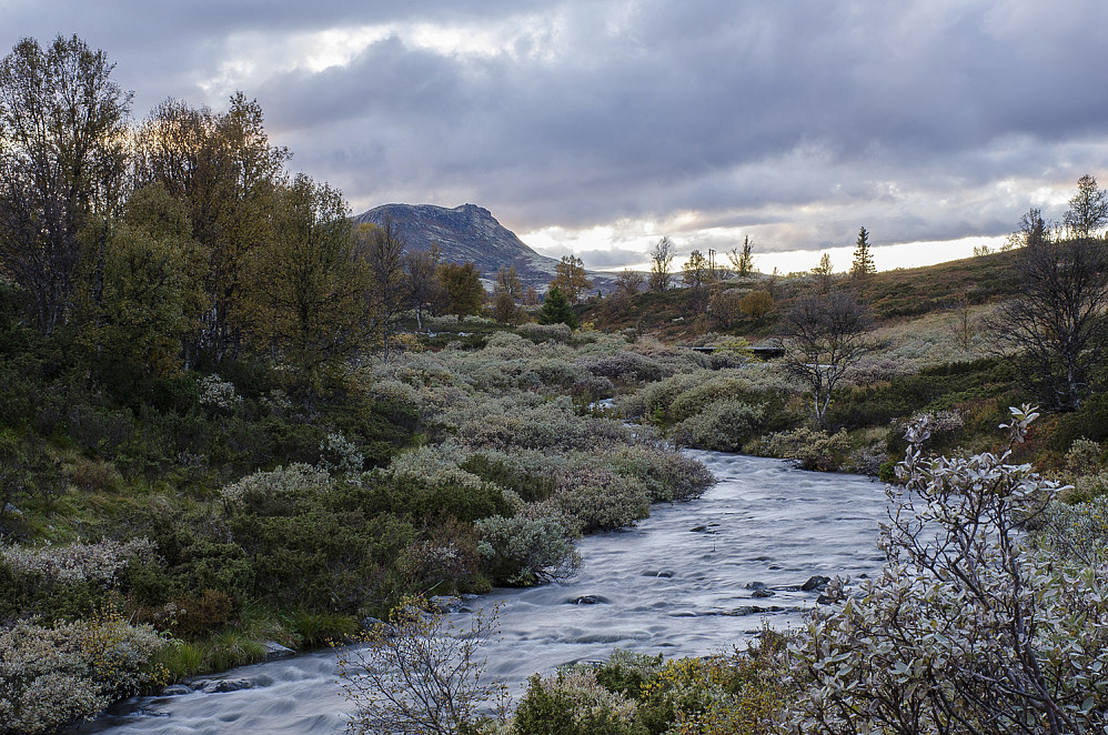 Svart Fjellet.