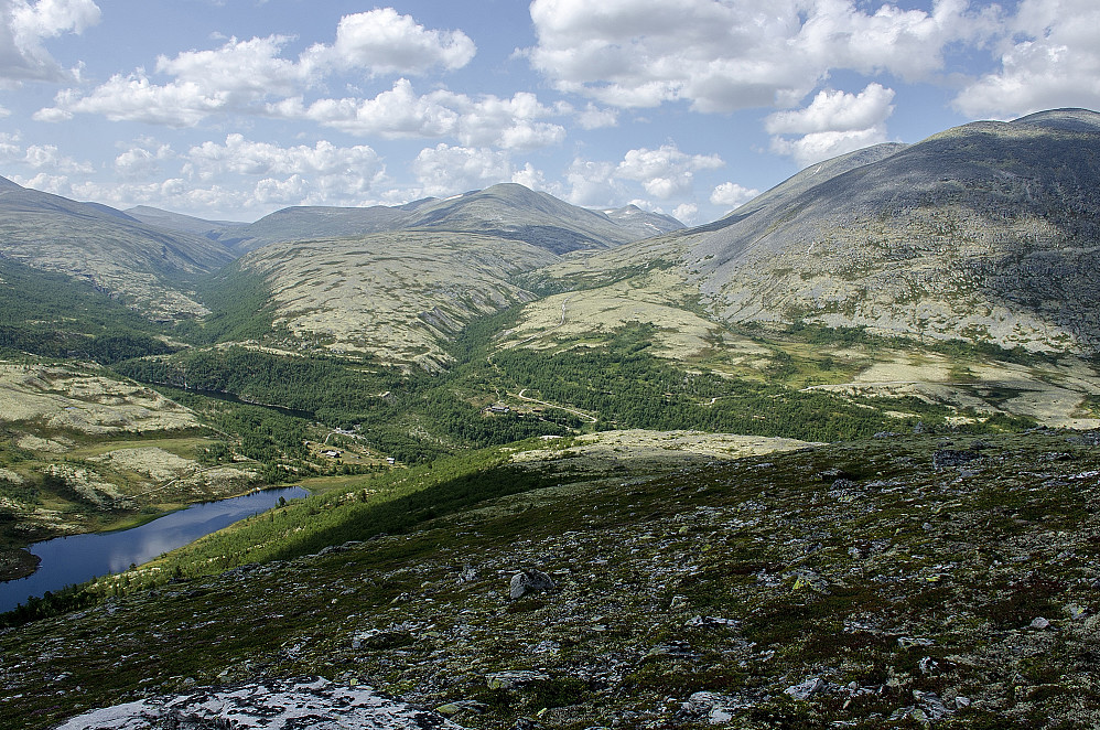Musvoltjønna, Bergetjønna og Bjørnhollia.