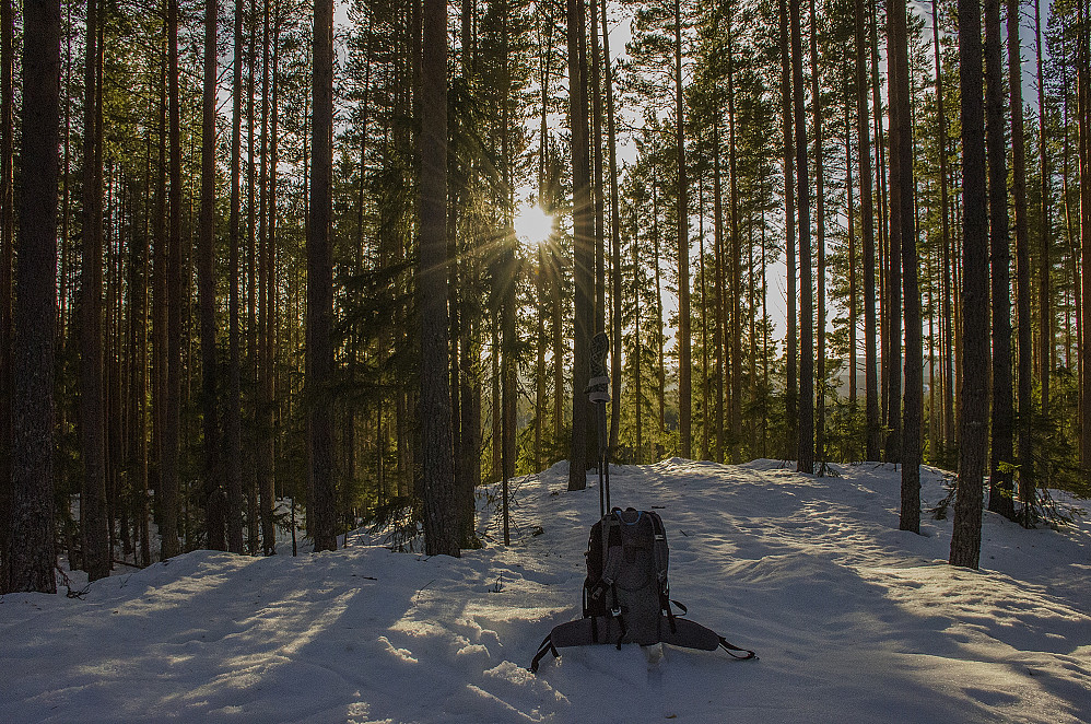 Bjørnberget 328 moh.