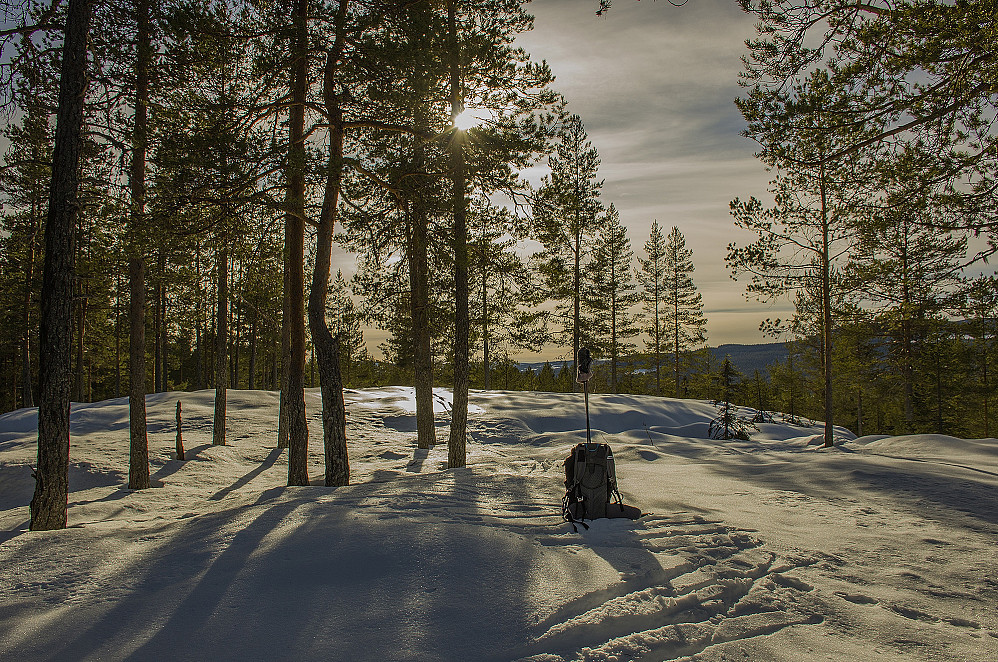 Bjønnåtsle 309moh.