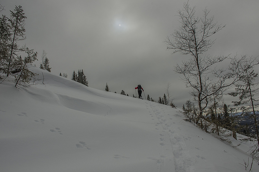 Sola er i ferd med og bryte igjennom skydekke.