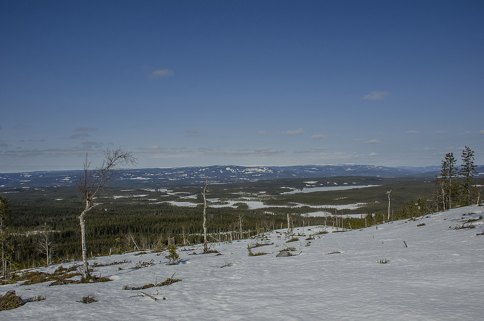 Utsikt fra Lauvnubben her ser vi Østersjøen og lengre bak Digeråsen.