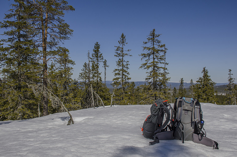 Kvilåsen Øst 700 moh.