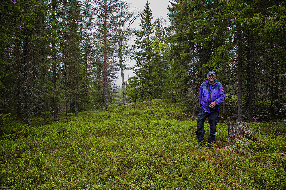 Arne på Lortmyråsen 430 moh.