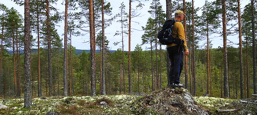 Sør for Deisjøen 387 moh.