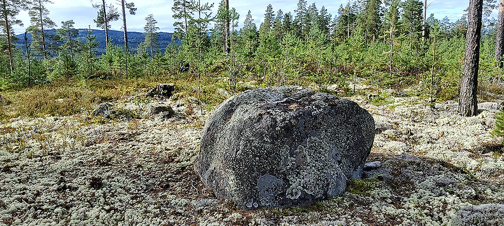 Vest for Orrhøgda 353 moh.