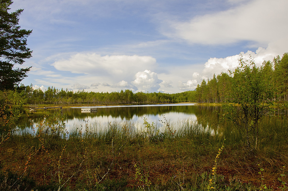Fiskeløstjennet.
