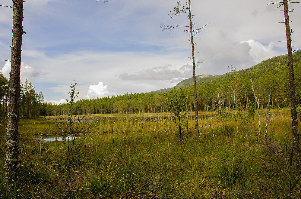 Storgjettjennet.