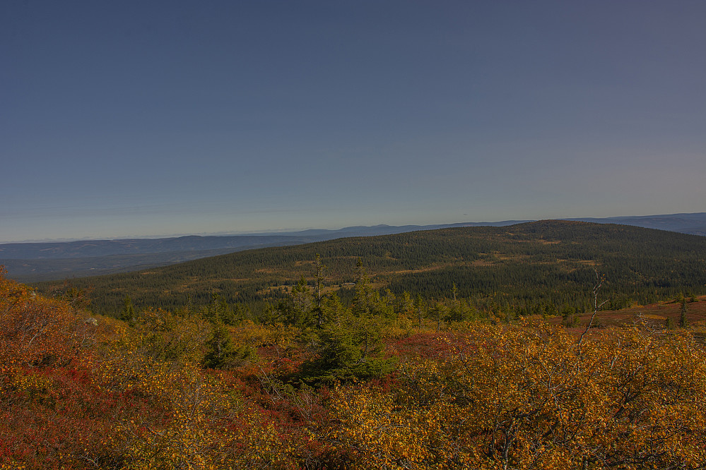 Her ser vi Skynndalen og Engulvsfjellet.
En fin tur i fjellet i dag.