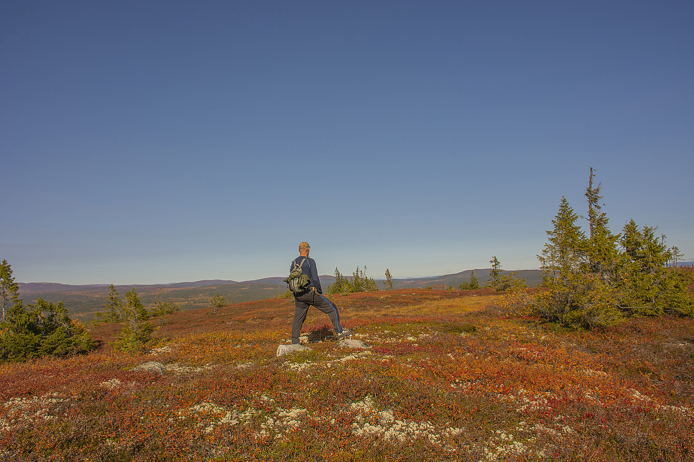 Gilderåsen 865 moh. Her ser vi nordover mot Horta i Stor-Elvdal.