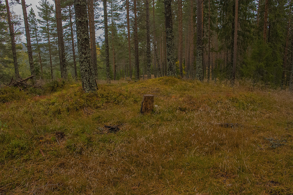 Harptjennsberget 395moh.