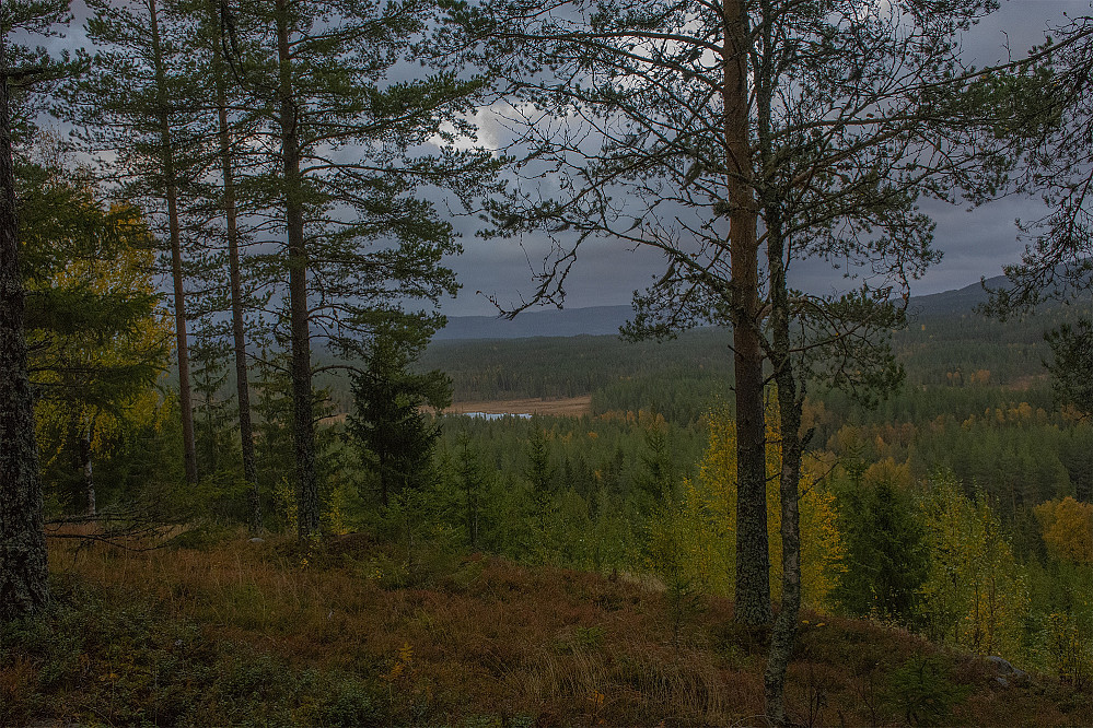 Her ser vi Ørtjennet fra Harptjennsberget.