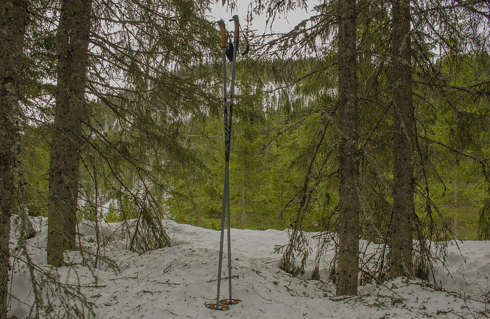 Djupdalsberget NV  494moh. Nordre Kletten i bakgrunnen.