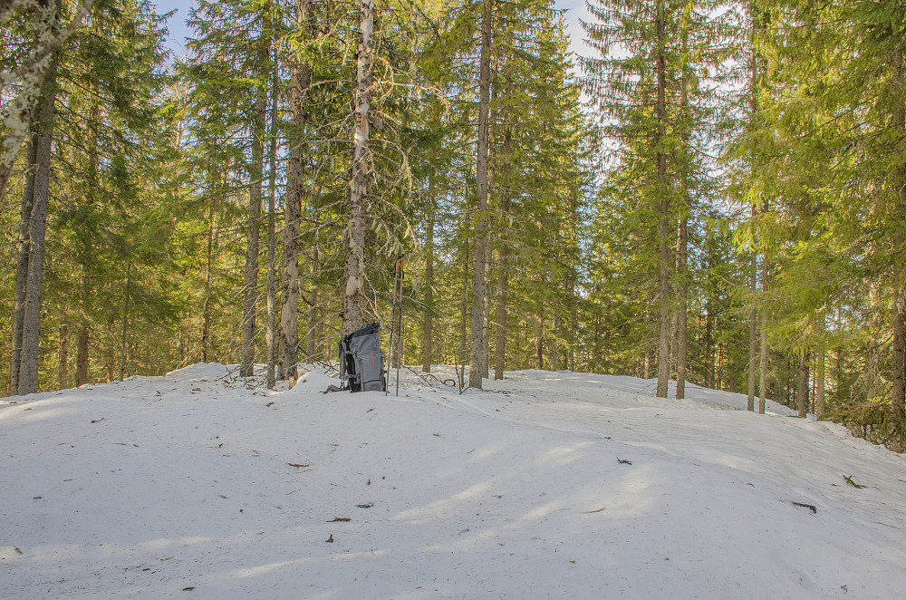 Vårsæterberget 426moh.