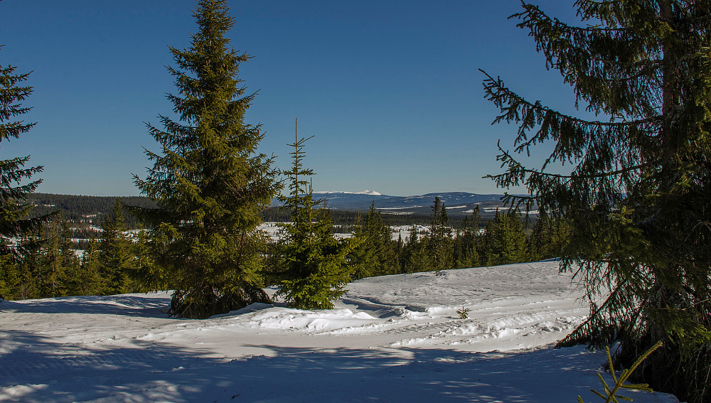 Tørråsen   Trysilfjellet i bakgrunnen.