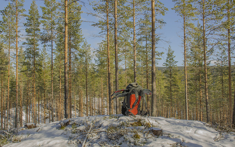 Nordøst for Neverdalen. 283moh.