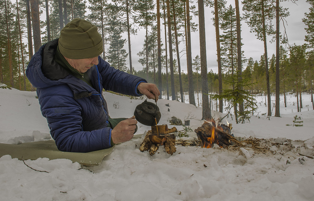 Kaffe mens orrfugl og svartspett sto for underholdningen.